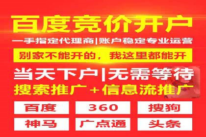 某企业SEM广告投放的ROI提升策略及效果展示